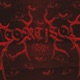 CORTISOL Single