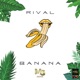 Banana Single