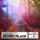 Secret Place Single