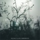 I Won t Give up on You feat MØØNWATER Single