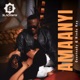 Amaanyi Single