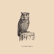 Disappear Single