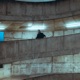 No Solution Single