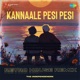 Kannaale Pesi Pesi Retro House Remix Single