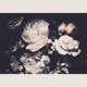 Been Dead Single