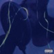 Just Vibe Deluxe