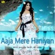 Aaja Mere Haniyan feat Dj Sanj Single