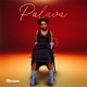 Palava Single