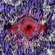 Hollow Single