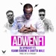 Adwenfi feat Kuami Eugene Shatta Wale Single