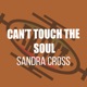 Can t Touch the Soul EP