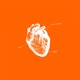 Love Like This feat Reggie Dartey Single