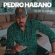 Llego el Amor Single