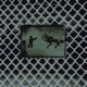 Restricted Area Single