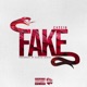 Fake Single
