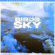 Birds In The Sky Mazza l20 Remix Single