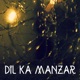 Dil Ka Manzar Single