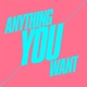 Anything You Want Single