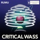 Critical Wass Single