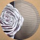Fleur Single
