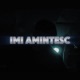 Imi amintesc Single