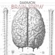 Brain Stew Single