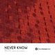 Never Know Debris Remix Single