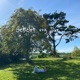 Geliebt von dir Single