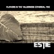 Flowers in the Wilderness Ethereal Mix Single