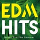 Edm Hits Never End the Summer