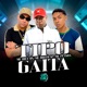 Tipo Gaita feat SPACE FUNK Single