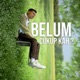 Belum Cukup Kah Single