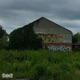 GRAFFITI Single