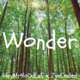 Wonder feat ZynCoded Single