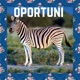 Oportuni feat Onzi Bagster Vixonflow Single