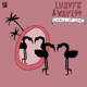 Dance Of Love Single