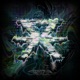 Experimental Demo Age