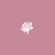Roses Single