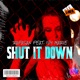Shut It Down feat Ivy Marie Radio Edit Single
