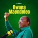 Bwana Maendeleo Single