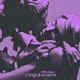 fingi di amarmi feat Zerbo Single