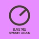 Spinnin Again Single