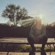 about life Single