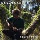 Conflicted Single
