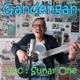 Gandengan Single