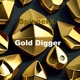 Gold Digger Single