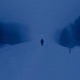 sense Single