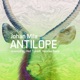Antilope Single