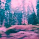 Reach Out Single