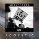 Silent Storm Acoustic Acoustic Single
